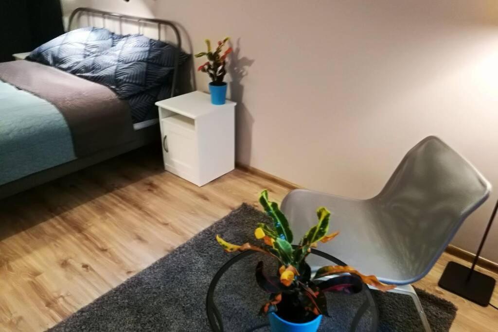 Sophus Respite. Samo Centrum Krakowa Екстериор снимка